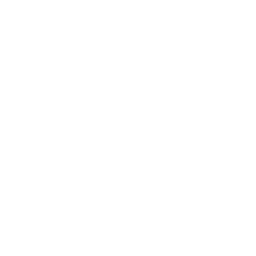 Icône facebook