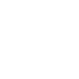 Icône instagram