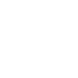 Icône linkedin
