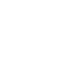 Icône tiktok