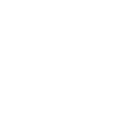 Icône YouTube